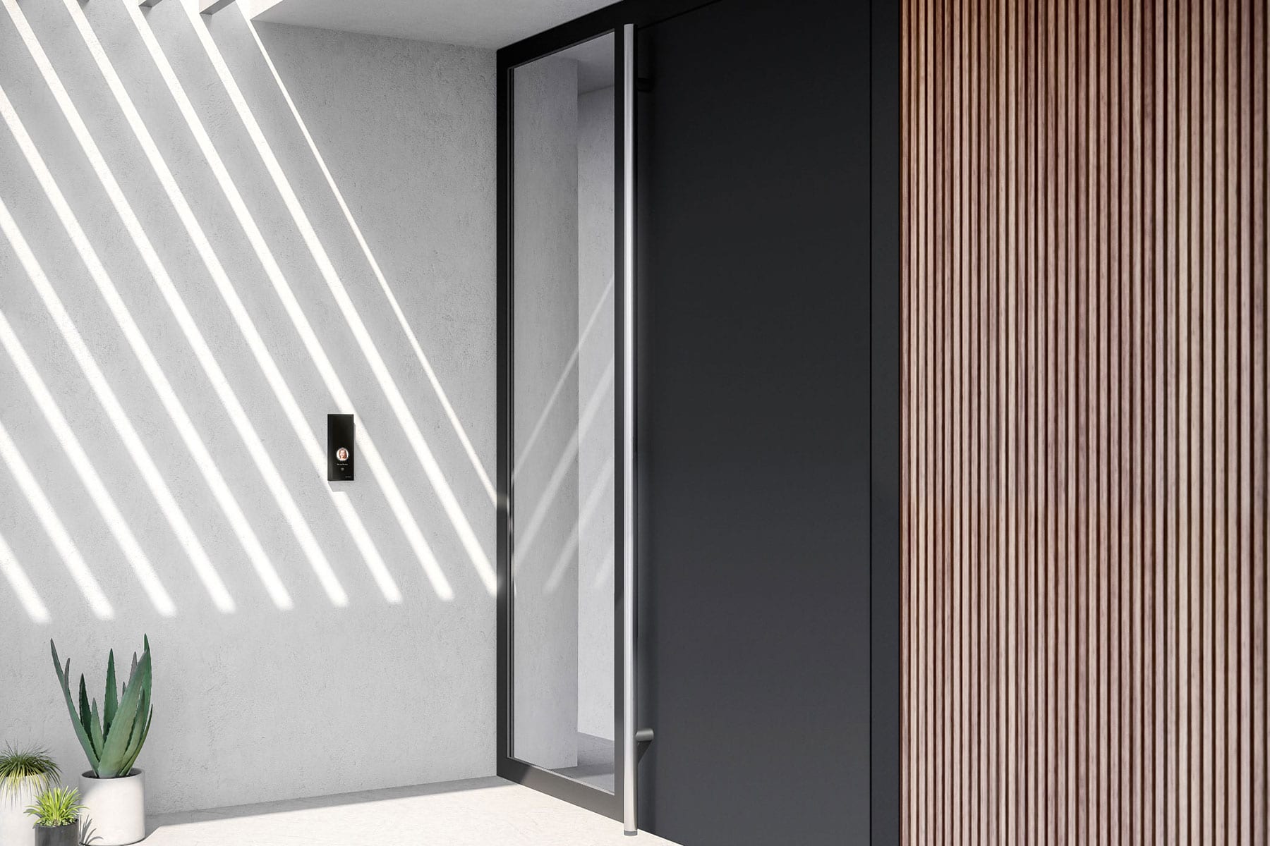 Moderne Haustür mit Lichtband